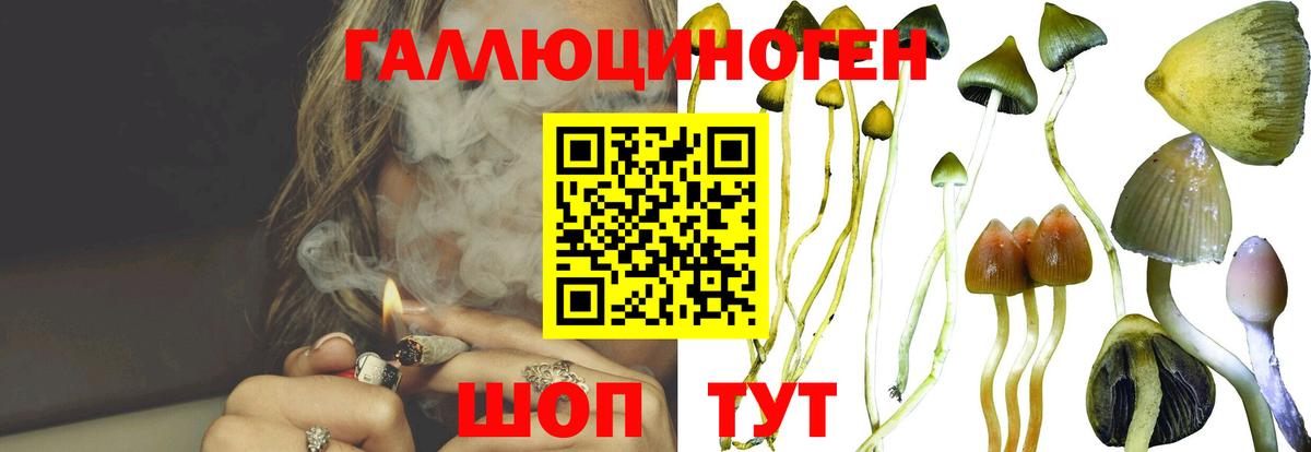Галлюциногенные грибы Psilocybe Кирово-Чепецк